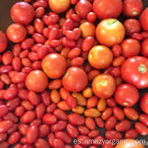 Venta caliente beber directamente polvo de jugo de tomate puro